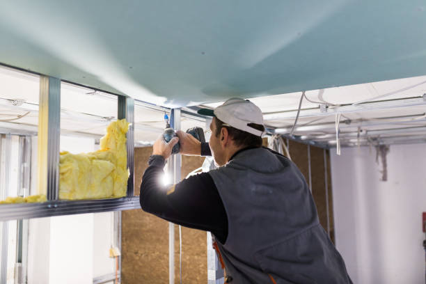 Best Eco-Friendly Insulation in Cave Spring, VA
