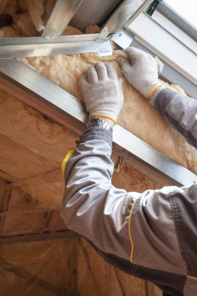 Best Blown-in Insulation in Cave Spring, VA
