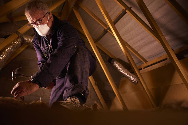 Best Spray Foam Insulation in Cave Spring, VA